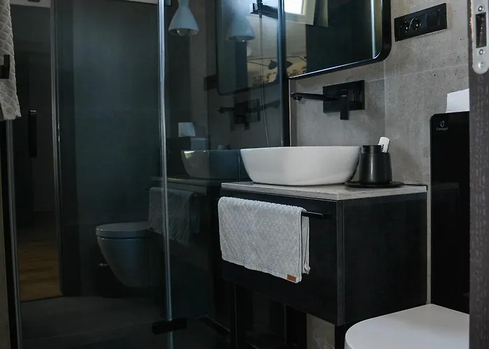 公寓 Black 扎达尔